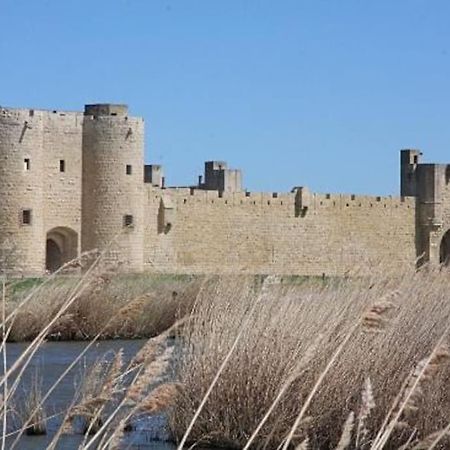 Chambre A 500 M Des Remparts 에그모르트 외부 사진
